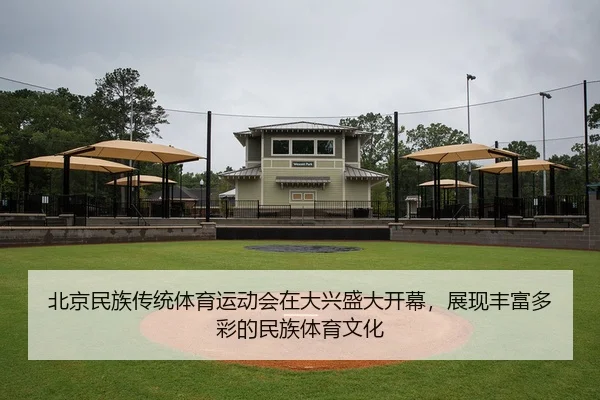 北京民族传统体育运动会在大兴盛大开幕，展现丰富多彩的民族体育文化
